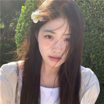 极地熊踪