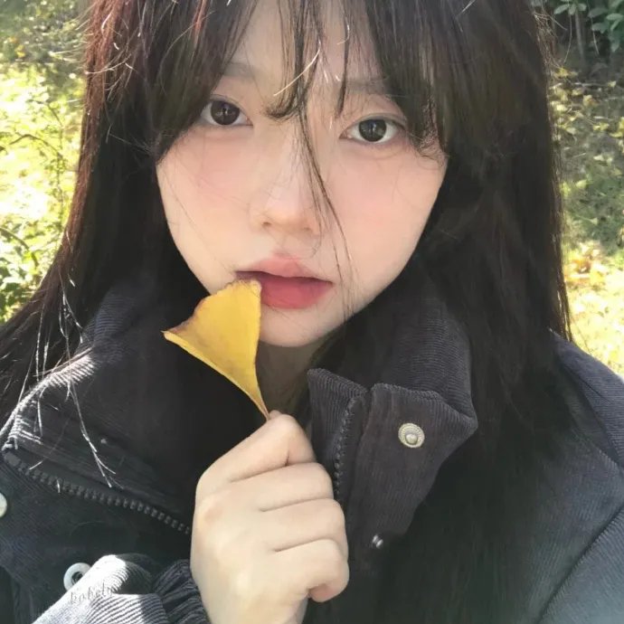 完美家伙