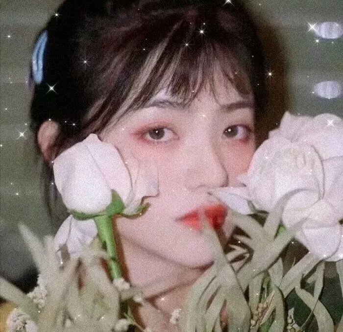 致梦想